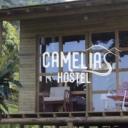 Camelia Hostel San Carlos Exterior photo