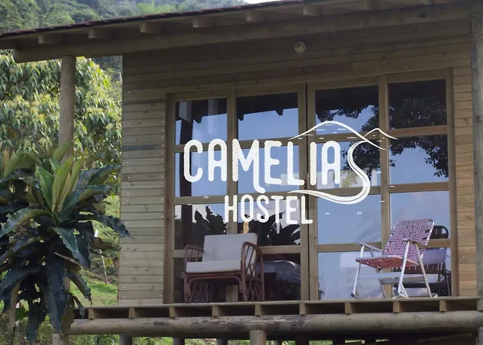Camelia Hostel